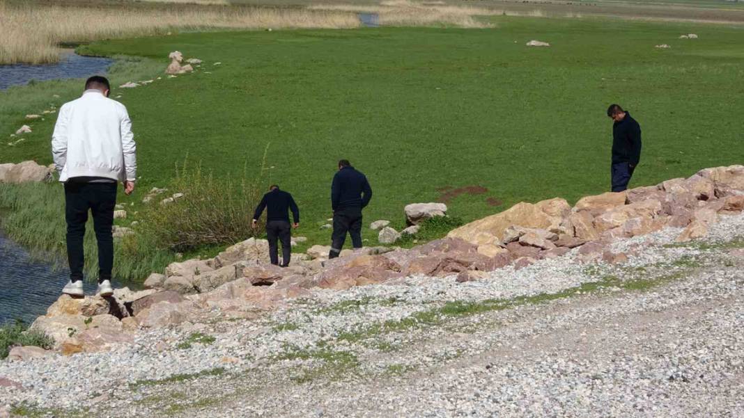 Hakkari'nin 'Yılan Adası'nda istila: Yılan sürüsü için güneşlenme vakti başladı 9