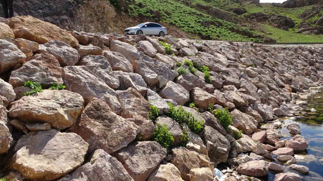 Hakkari'nin 'Yılan Adası'nda istila: Yılan sürüsü için güneşlenme vakti başladı 6