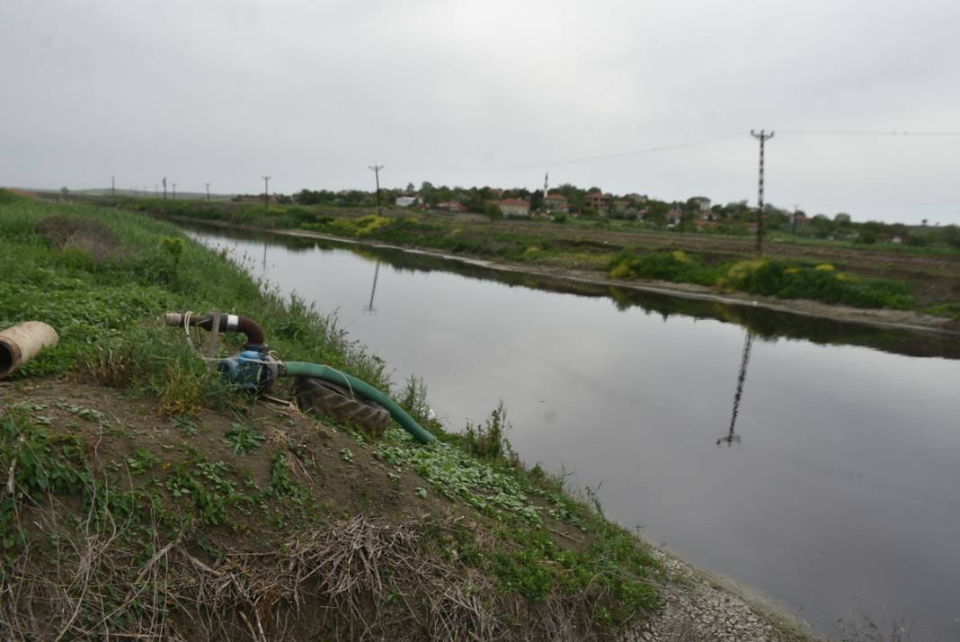 Ergene Nehri'nde vahim görüntü! 3. derece kirli çıktı 4