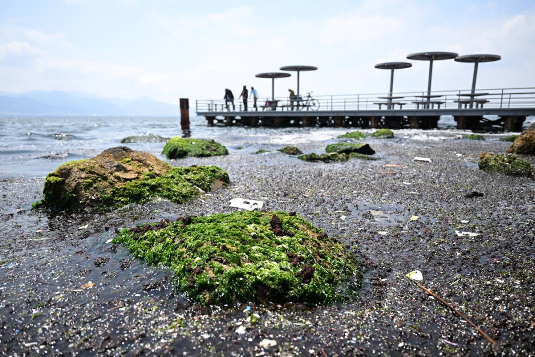 İzmit Körfezi'nde korkutan görüntü! Daha da şiddetlenecek 1