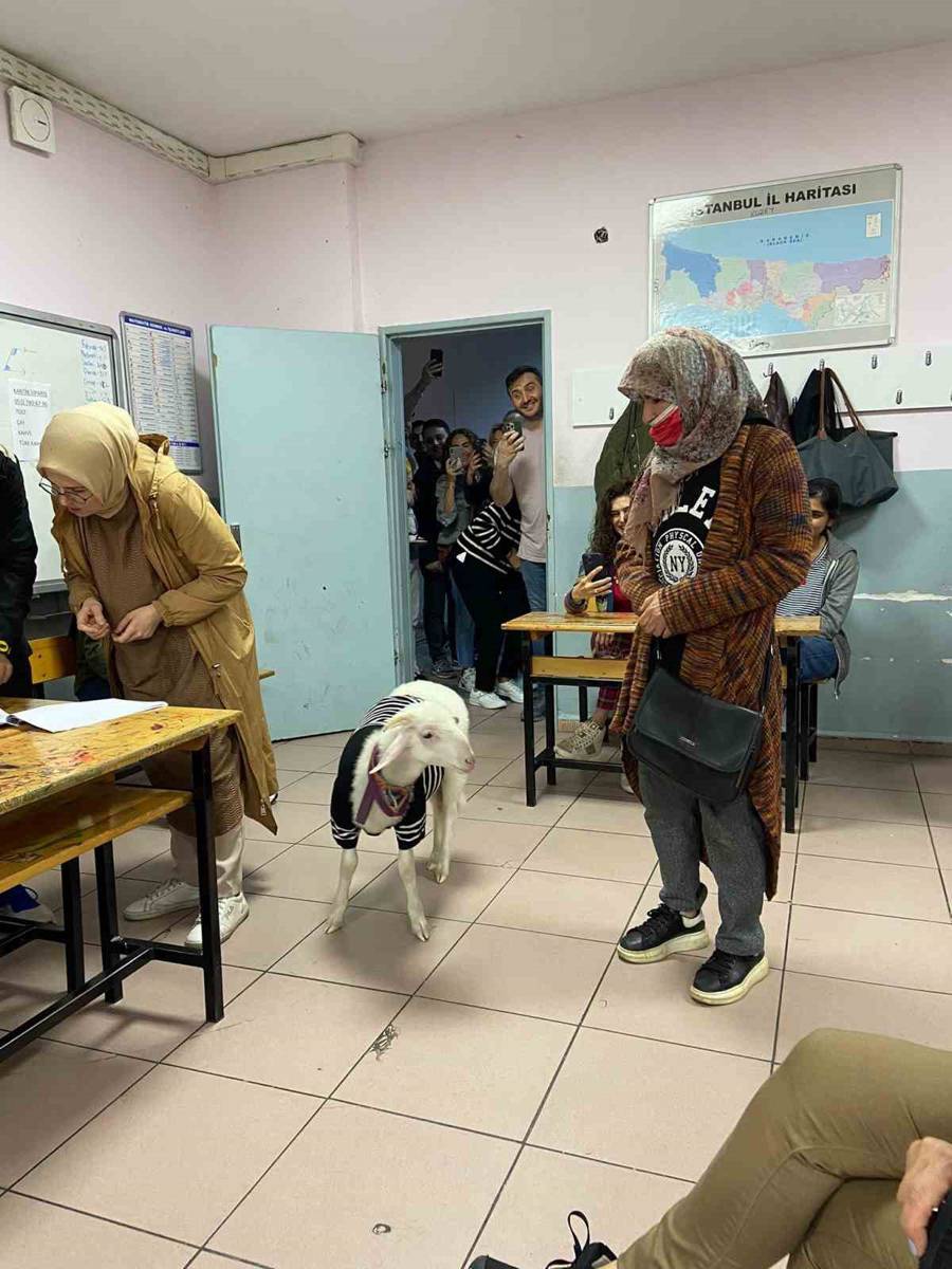 Sandık başından ilginç manzaralar 8