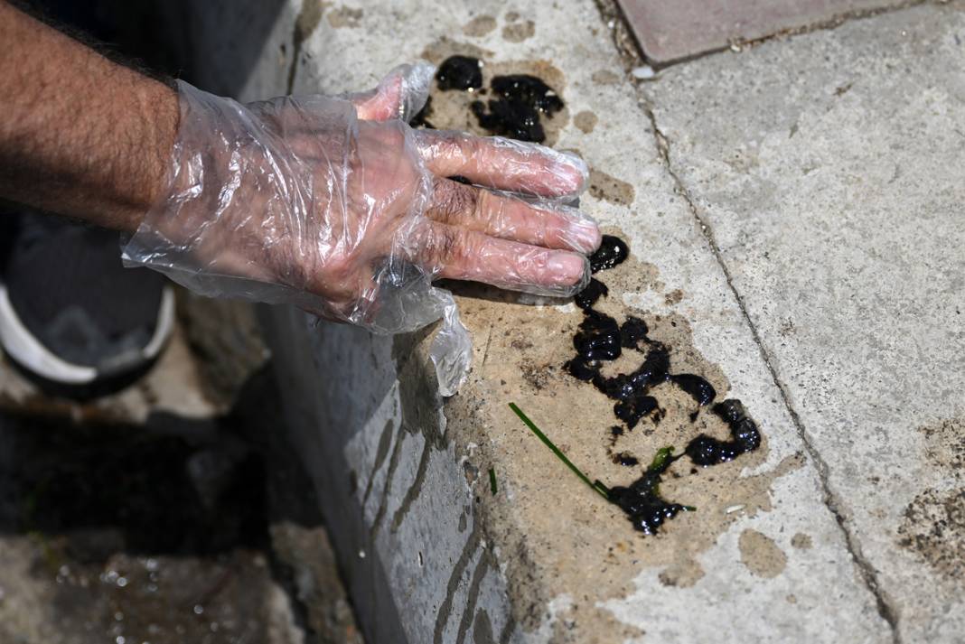 İzmit Körfezi'nde korkutan görüntü! Daha da şiddetlenecek 4