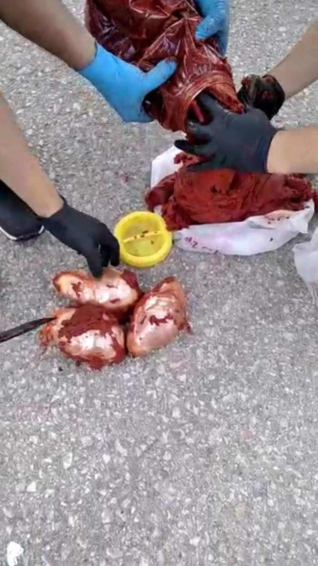 Salça bidonundan çıkanlar polisi bile şaşkına çevirdi! Herkes salça zannetti, gerçek başka çıktı 2