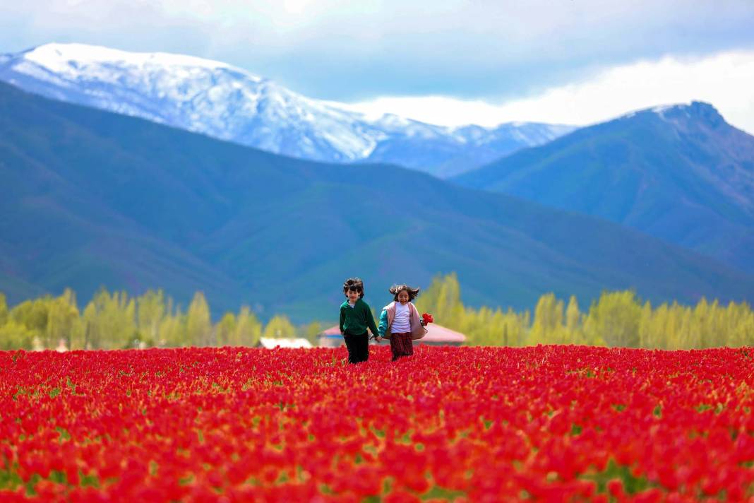 15 günlük lale devrine ziyaretçi akını: Bir yanda karlı dağlar bir yanda bahar 3