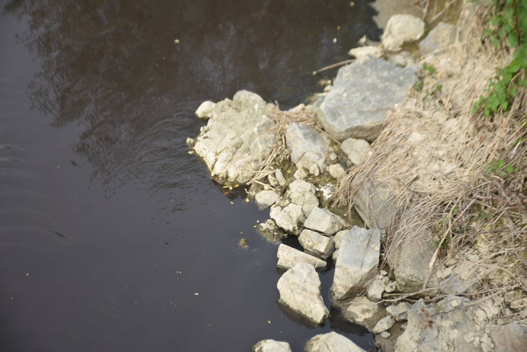 Ergene Nehri'nde vahim görüntü! 3. derece kirli çıktı 2