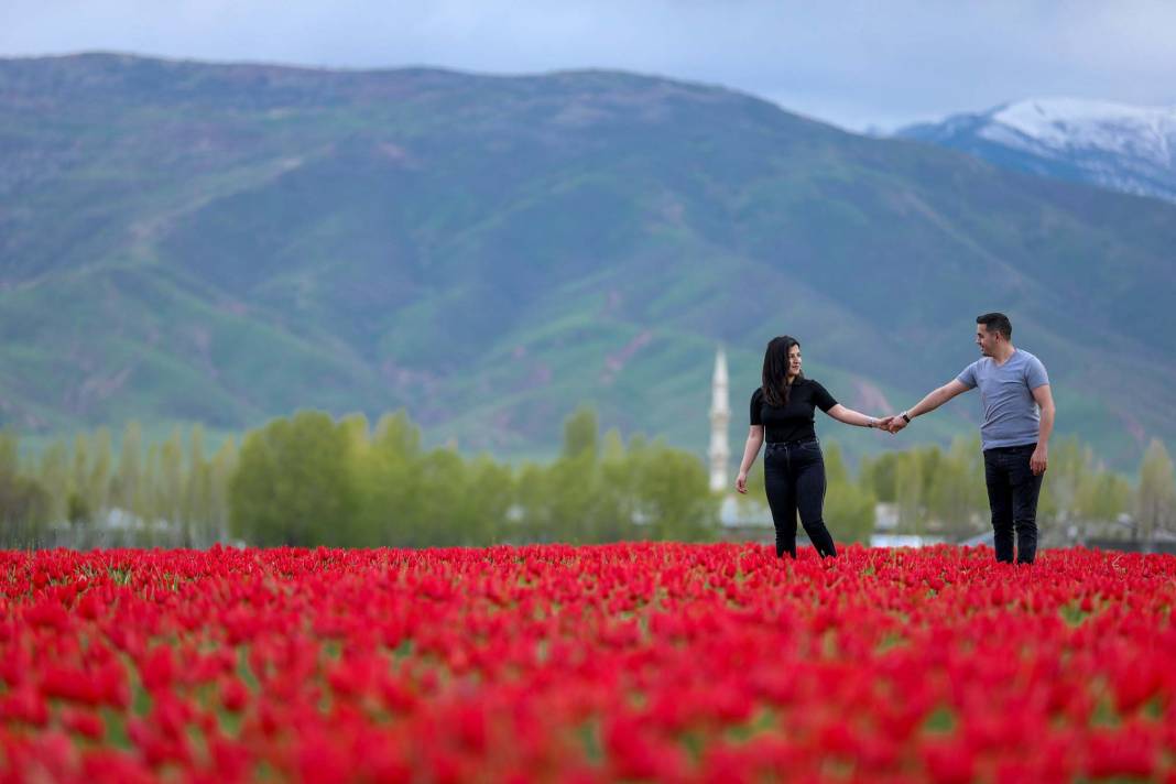 15 günlük lale devrine ziyaretçi akını: Bir yanda karlı dağlar bir yanda bahar 7