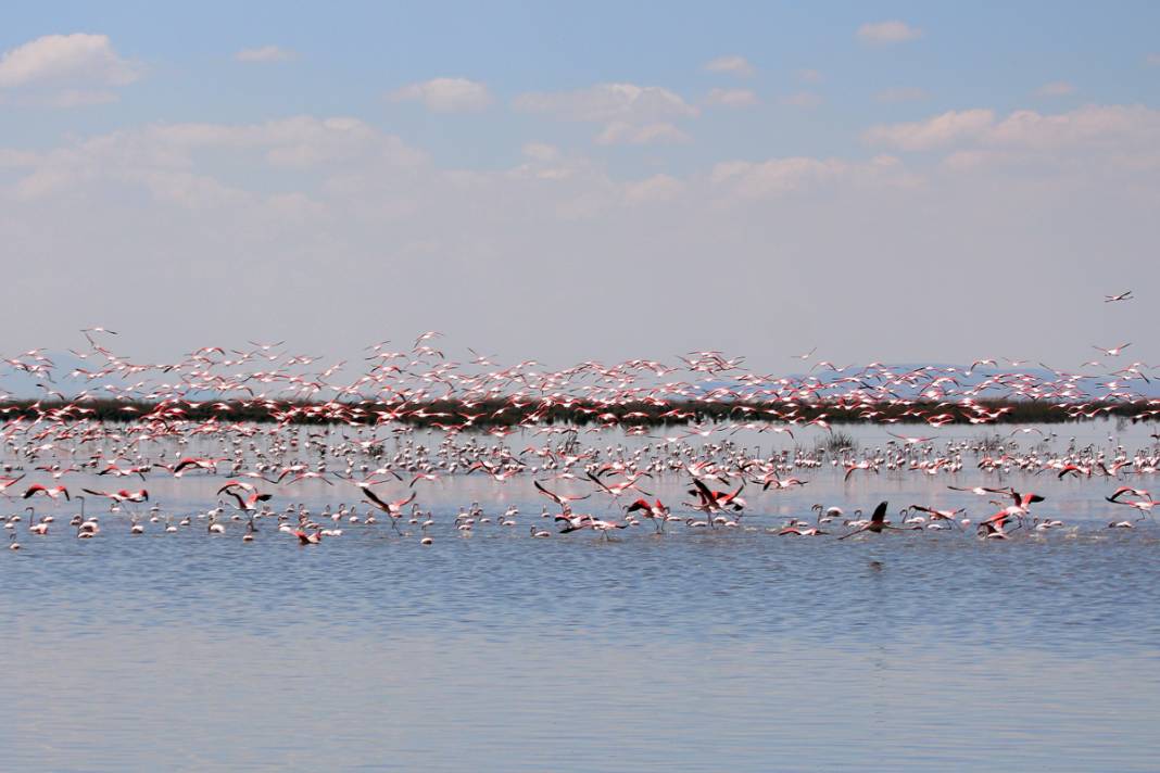 Gün batımında büyüleyici uçuş... Burası 'kızıl' cennet 12