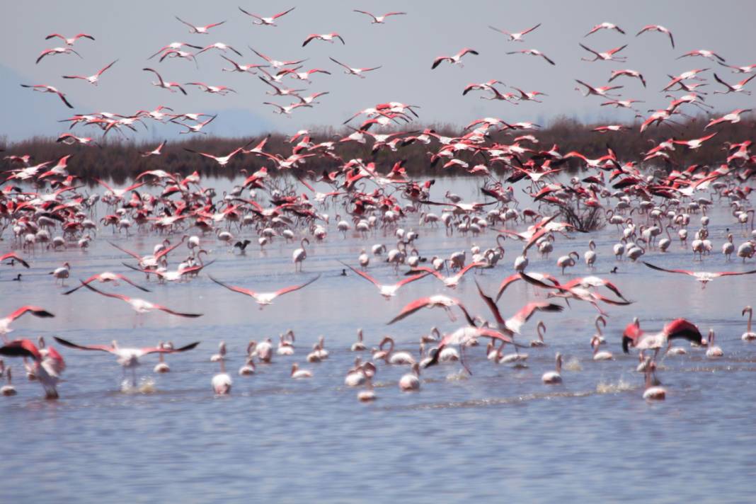 Gün batımında büyüleyici uçuş... Burası 'kızıl' cennet 10