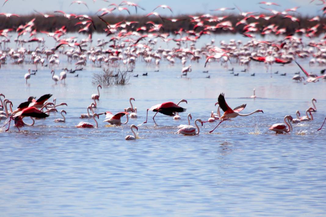 Gün batımında büyüleyici uçuş... Burası 'kızıl' cennet 9