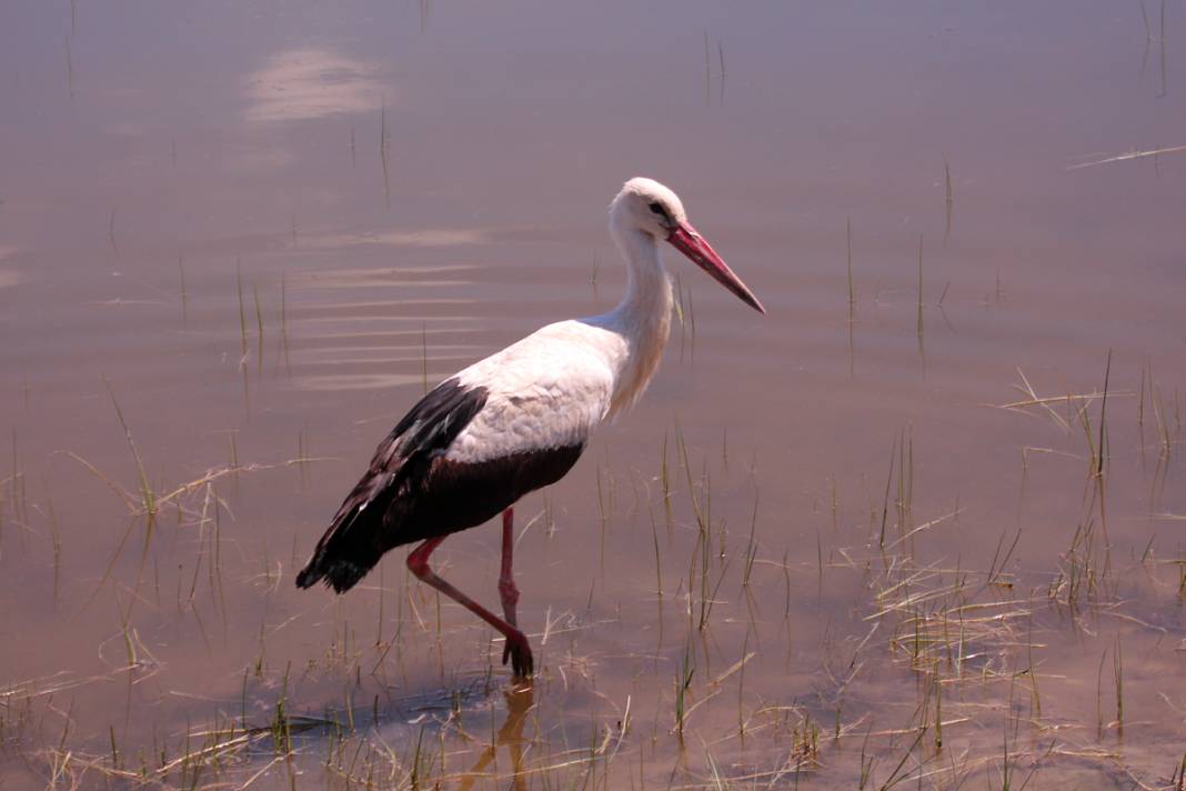 Gün batımında büyüleyici uçuş... Burası 'kızıl' cennet 6