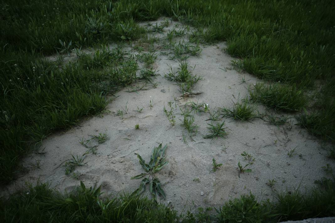 Maraş'taki çifte felaketin ardından çıktı! Gün geçtikçe artıyor 5