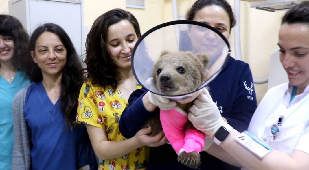 Ayağı kırılan yavru ayı için seferber oldular 9