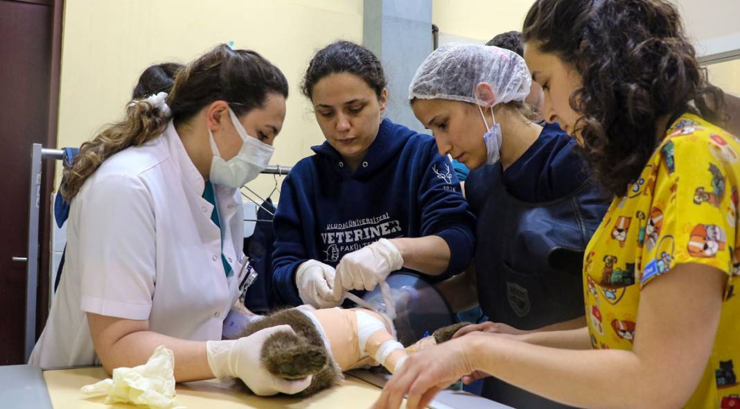 Ayağı kırılan yavru ayı için seferber oldular 7