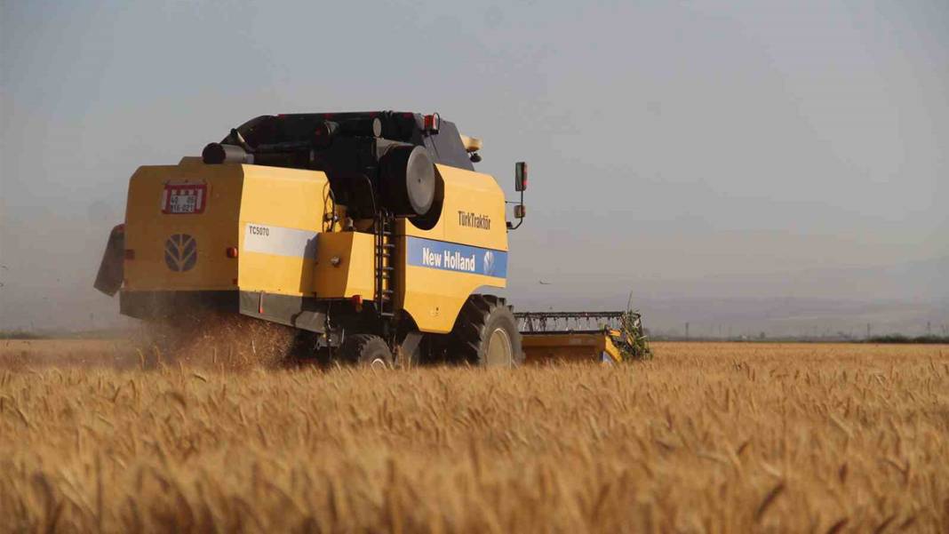 Depremin vurduğu Hatay'da ilk buğday taneleri döküldü 2
