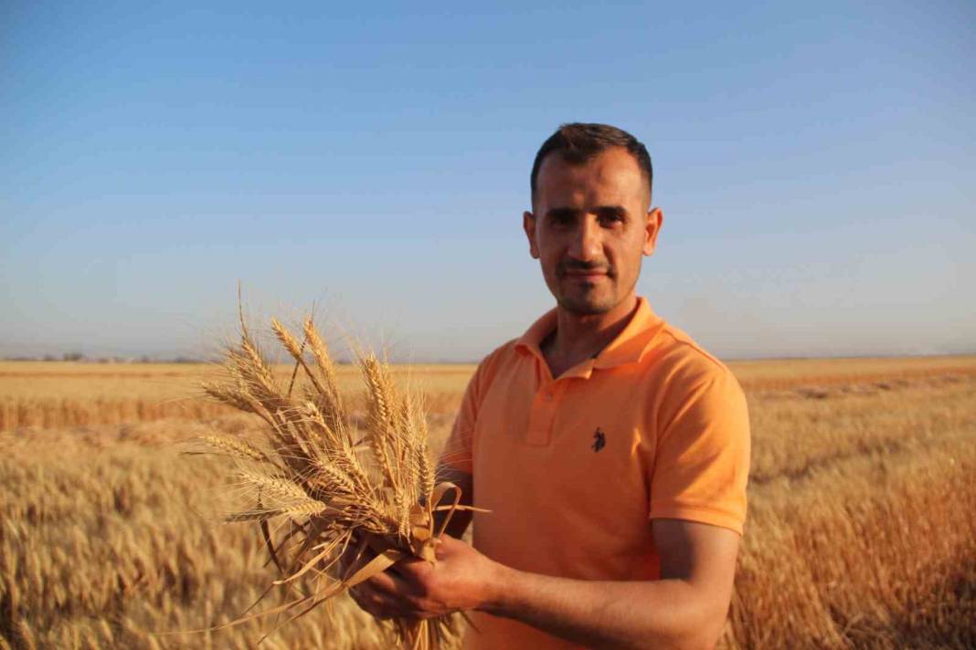 Depremin vurduğu Hatay'da ilk buğday taneleri döküldü 3