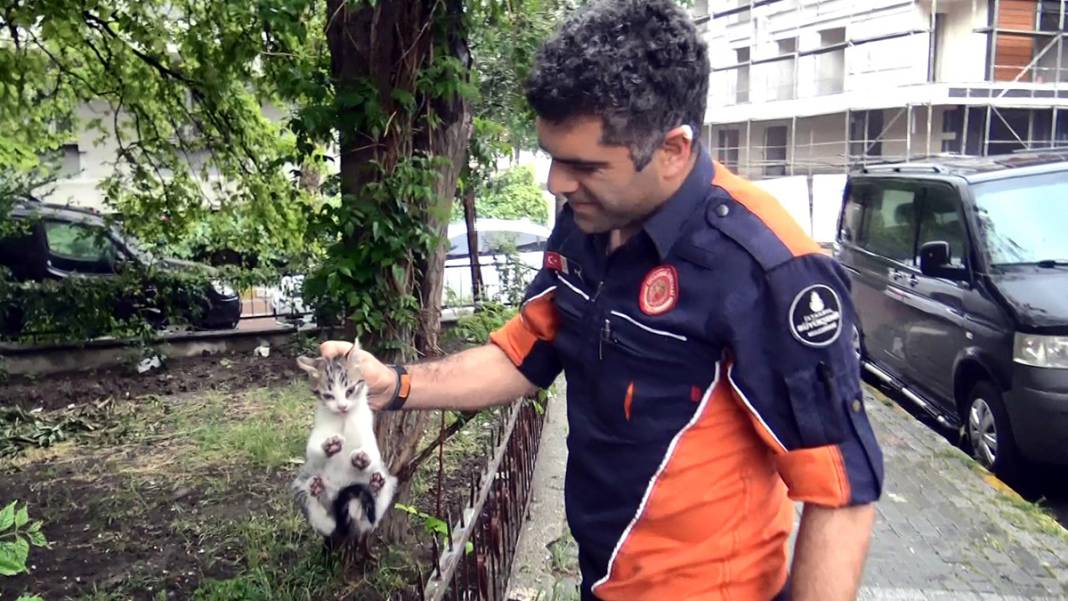 Araçların motoruna giren kedilere dikkat 3