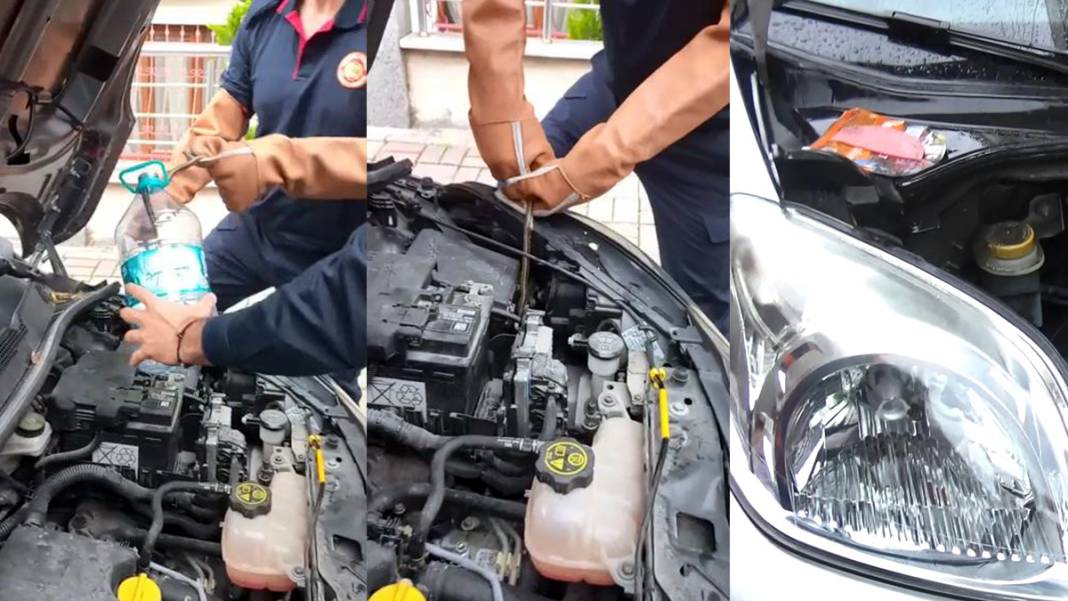 Araçların motoruna giren kedilere dikkat 5