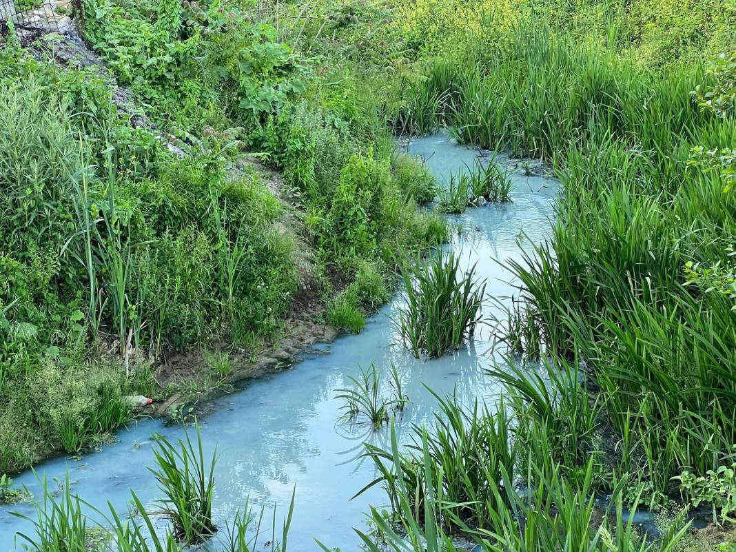 İstanbul’da tedirgin eden görüntü: Artık masmavi! 3