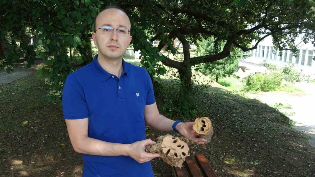 'Drakula' ile mücadele başladı:180 bitki türüne zarar veriyor 6