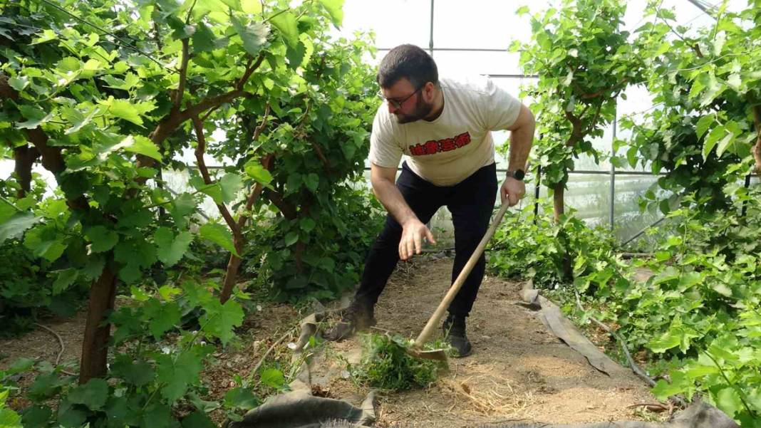 Bu yöntem ile üretim katlanarak arttı! Dünyada ilk kez denendi 2