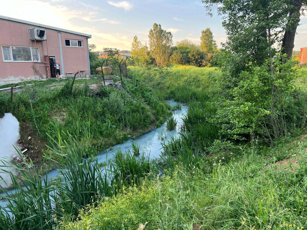 İstanbul’da tedirgin eden görüntü: Artık masmavi! 4