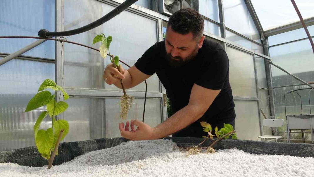 Bu yöntem ile üretim katlanarak arttı! Dünyada ilk kez denendi 6