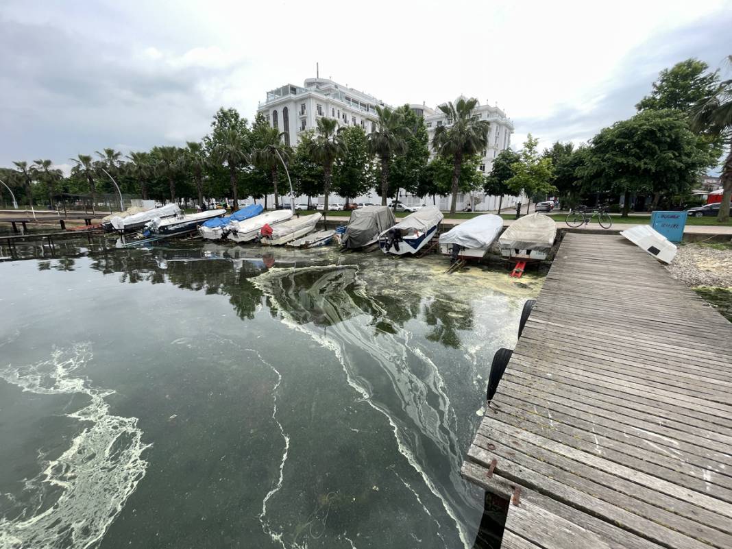 Sarı yeşil tabaka endişe saçtı: İnceleme sonucu gerçeği ortaya koydu 6