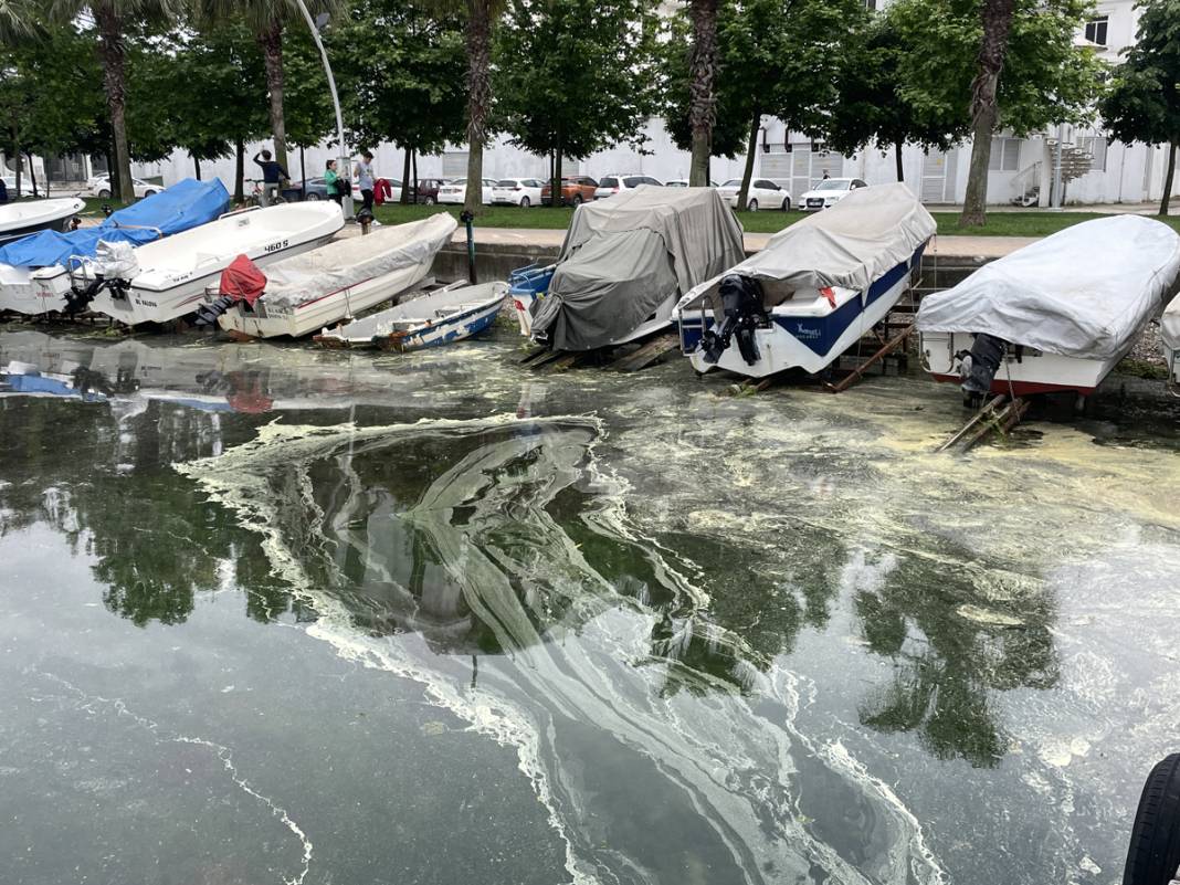 Sarı yeşil tabaka endişe saçtı: İnceleme sonucu gerçeği ortaya koydu 5