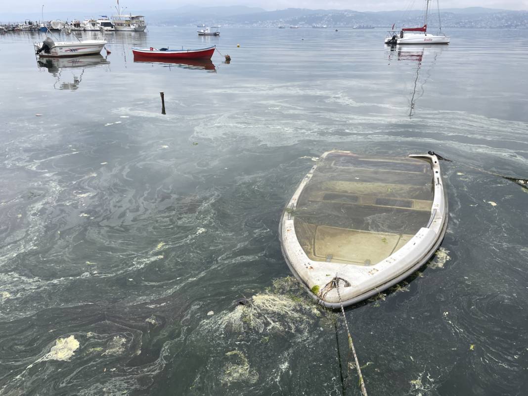 Sarı yeşil tabaka endişe saçtı: İnceleme sonucu gerçeği ortaya koydu 7