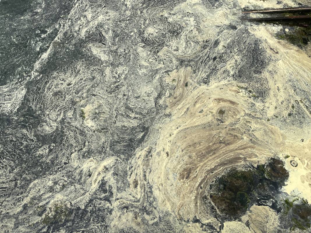 Sarı yeşil tabaka endişe saçtı: İnceleme sonucu gerçeği ortaya koydu 4