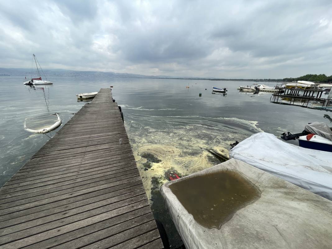 Sarı yeşil tabaka endişe saçtı: İnceleme sonucu gerçeği ortaya koydu 8