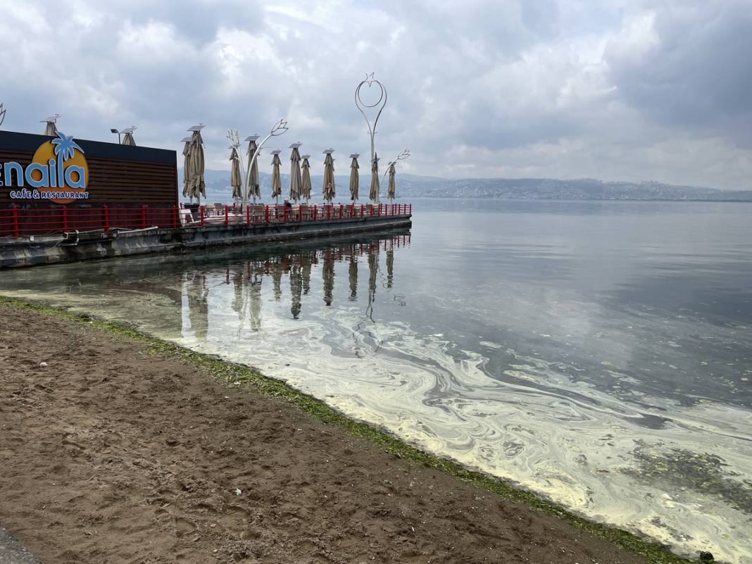 Sarı yeşil tabaka endişe saçtı: İnceleme sonucu gerçeği ortaya koydu 3