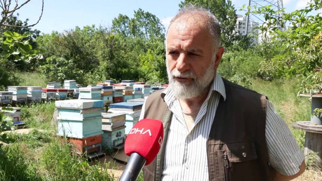 İstanbul'da arı kabusu: Bunu görmek şaşırtıcı ama... 9