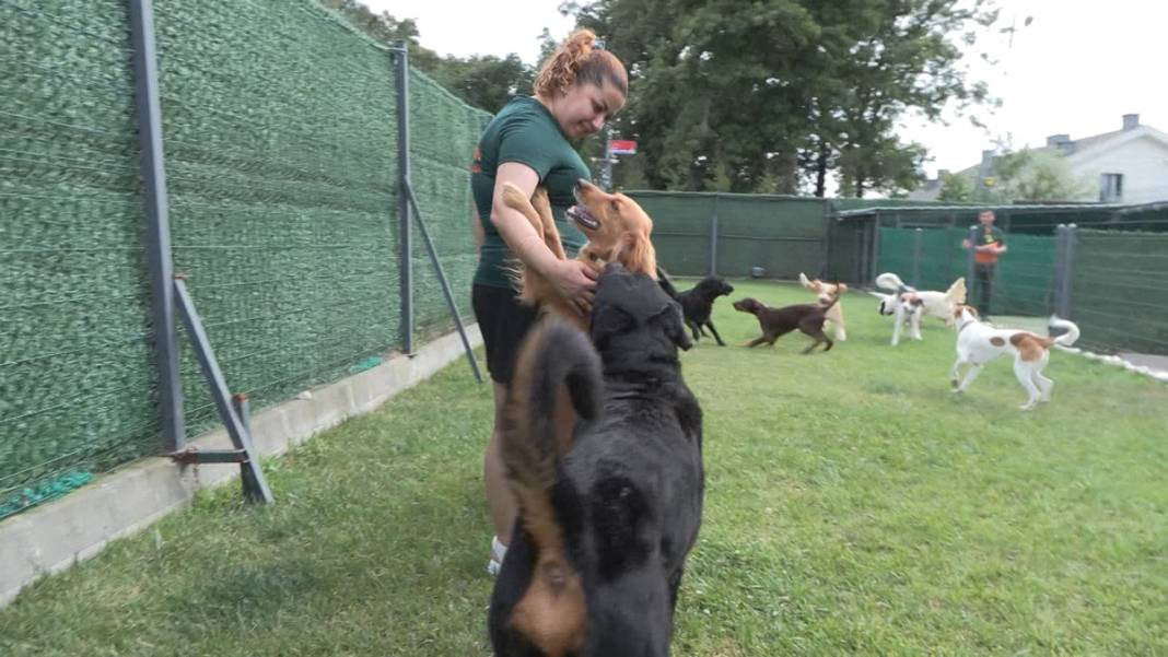 Bayram tatilinde onlar da otelleri doldurdu: Evcil hayvan otellerinde yoğunluk yaşanıyor 2