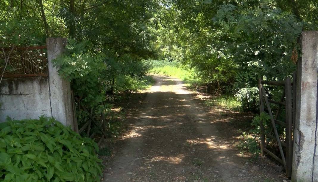 Bakan Mehmet Şimşek'in hoca Korhan Berzeg 13 gündür kayıp! Aramalarda yırtıcı kuş detayı 2