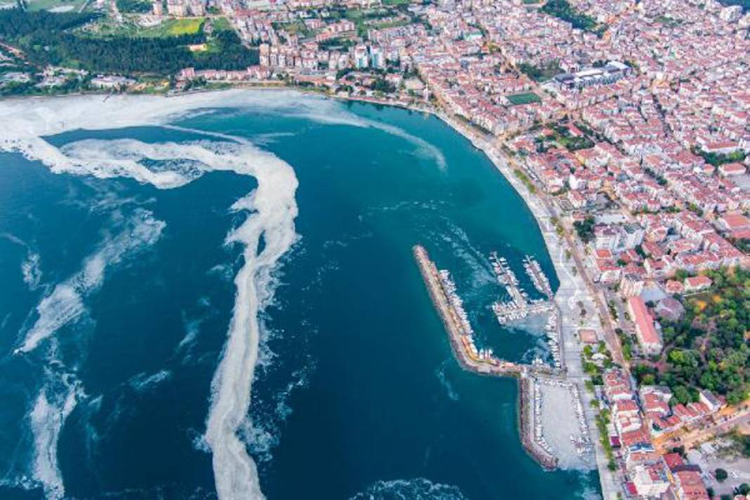 Ekosistem sinyal veriyor: Müsilaj bitecek mi? 5