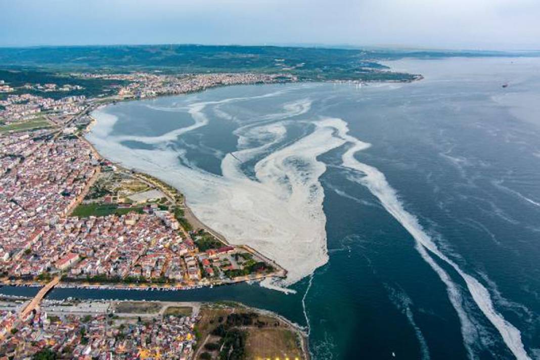 Ekosistem sinyal veriyor: Müsilaj bitecek mi? 6