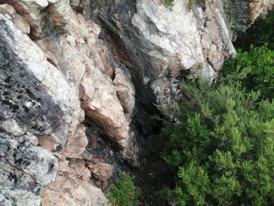 Bakan Şimşek'in hocası Berzeg'i arama çalışmalarında 14. gün: JÖAK ekibi ve kadavra köpekleri de dahil oldu 7