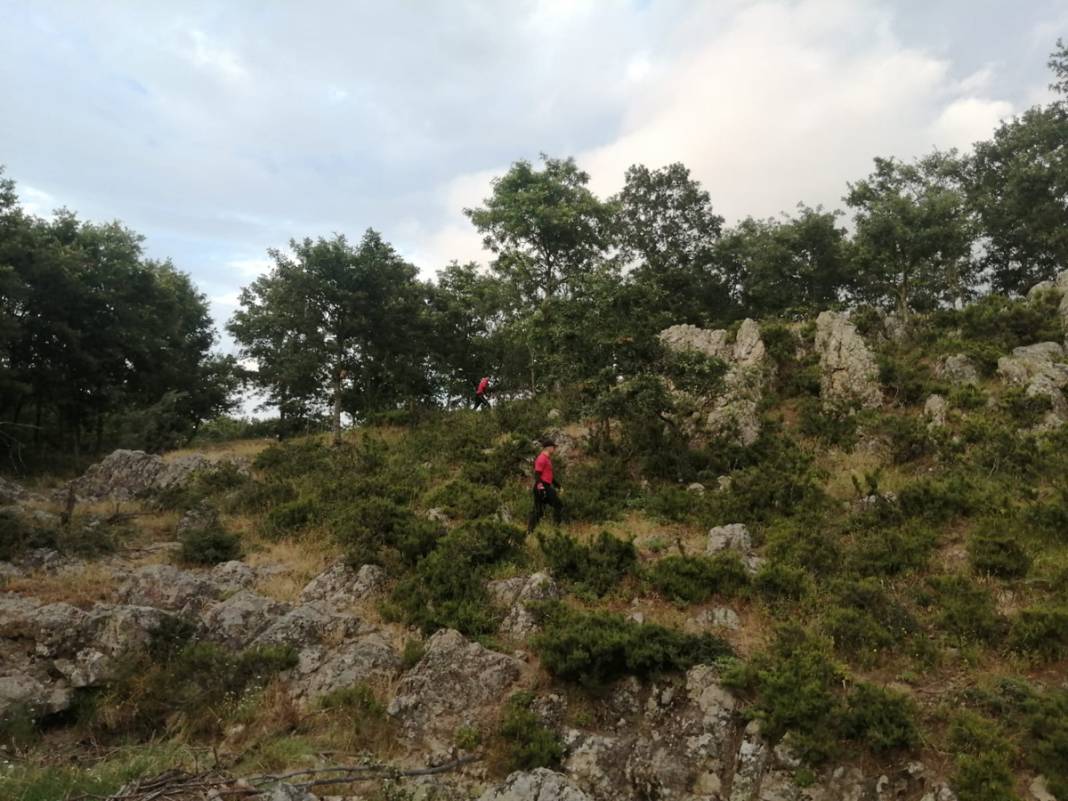 Bakan Şimşek'in hocası Berzeg'i arama çalışmalarında 14. gün: JÖAK ekibi ve kadavra köpekleri de dahil oldu 5