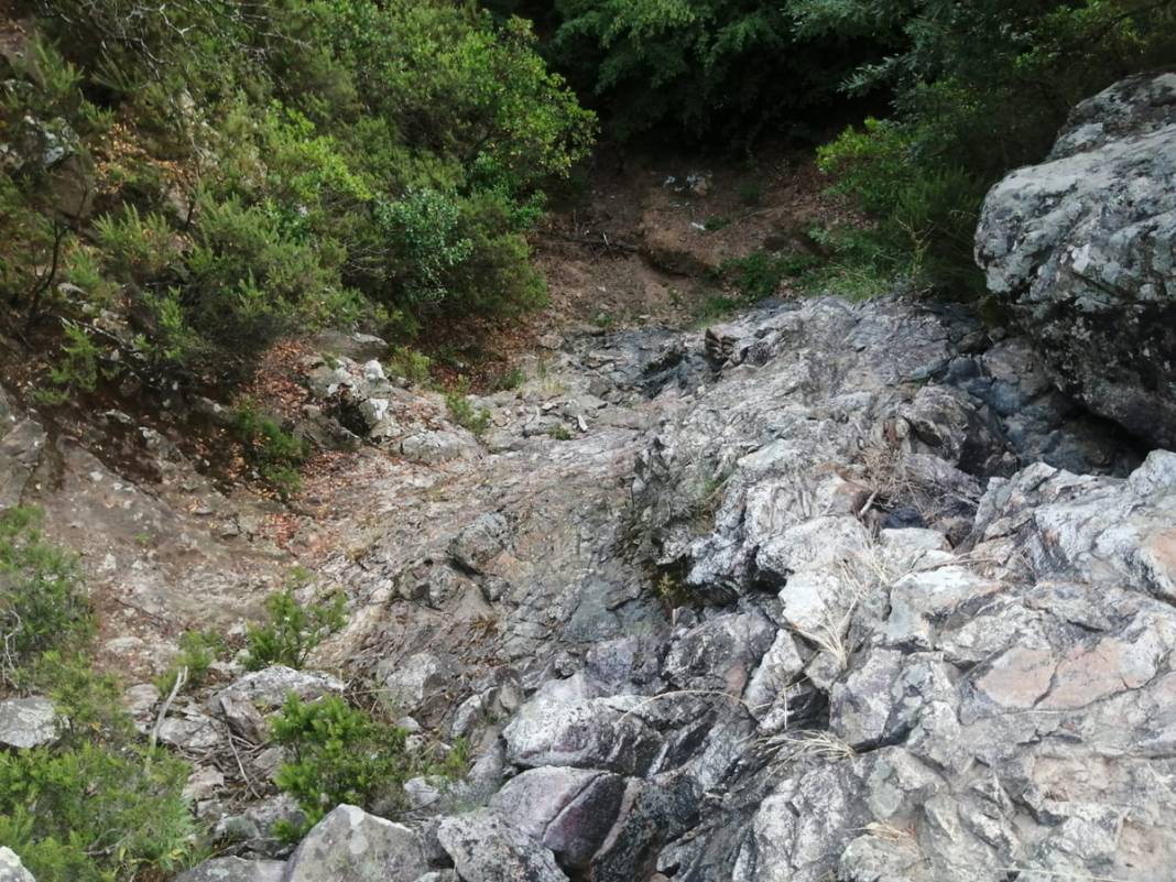 Bakan Şimşek'in hocası Berzeg'i arama çalışmalarında 14. gün: JÖAK ekibi ve kadavra köpekleri de dahil oldu 4