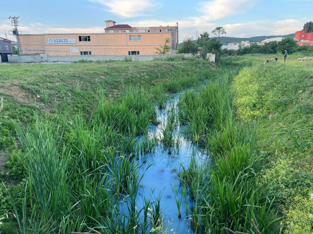 İstanbul’da tedirgin eden görüntü: Artık masmavi! 1