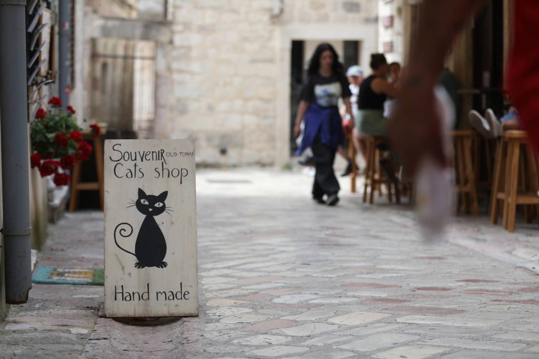 M.Ö. 168'de Roma İmparatorluğu tarafından kuruldu: Bu kenti kediler koruyor... 49