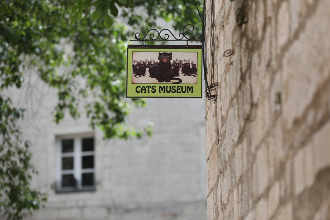 M.Ö. 168'de Roma İmparatorluğu tarafından kuruldu: Bu kenti kediler koruyor... 34