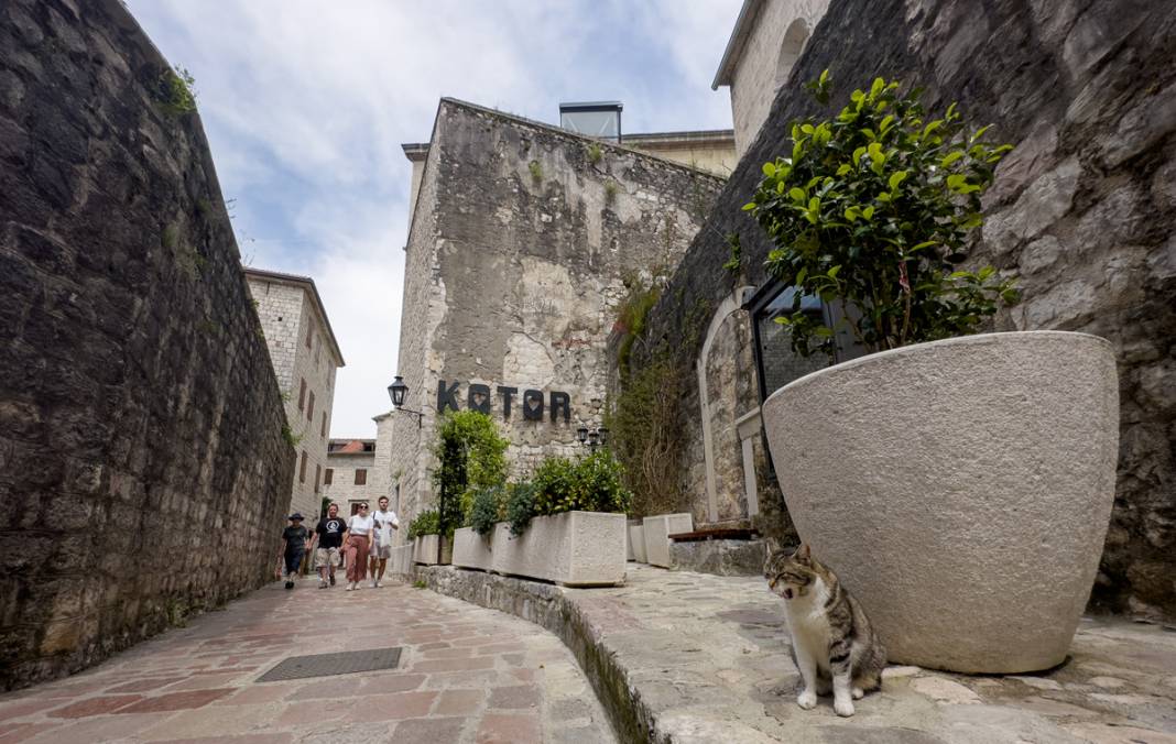 M.Ö. 168'de Roma İmparatorluğu tarafından kuruldu: Bu kenti kediler koruyor... 21