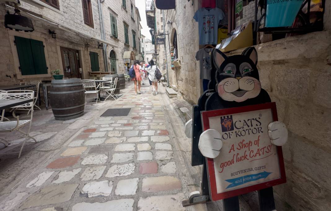 M.Ö. 168'de Roma İmparatorluğu tarafından kuruldu: Bu kenti kediler koruyor... 16