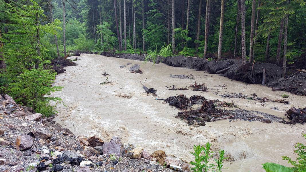 Bolu'da şiddetli sağanak: Yollar çöktü, piknik alanlarını sel bastı 1