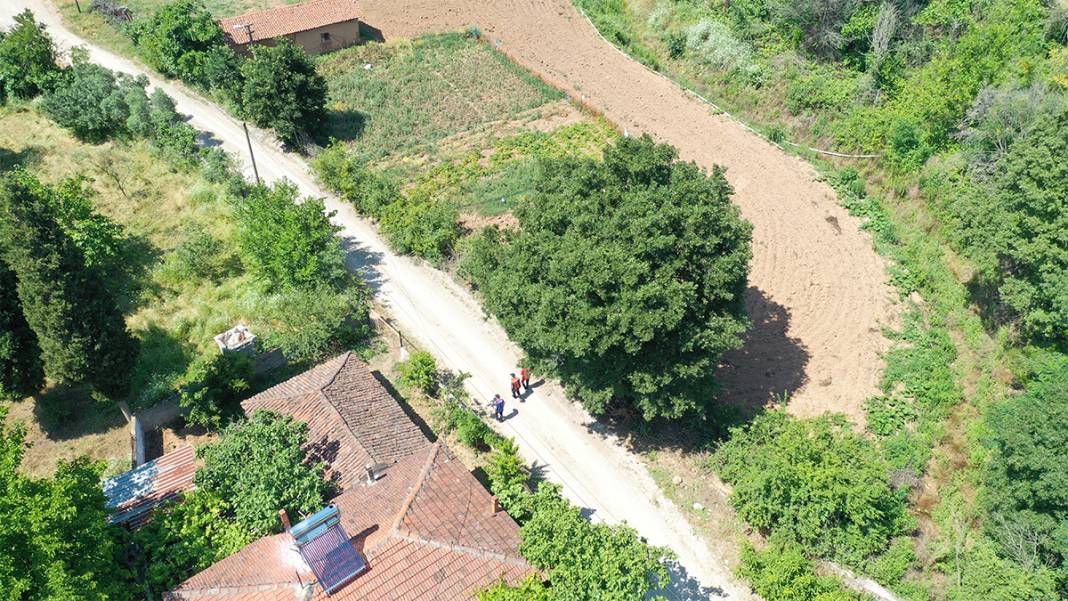 Didik didik arıyorlar!  Ekonomist Korhan Berzeg'den 10 gündür haber yok 4