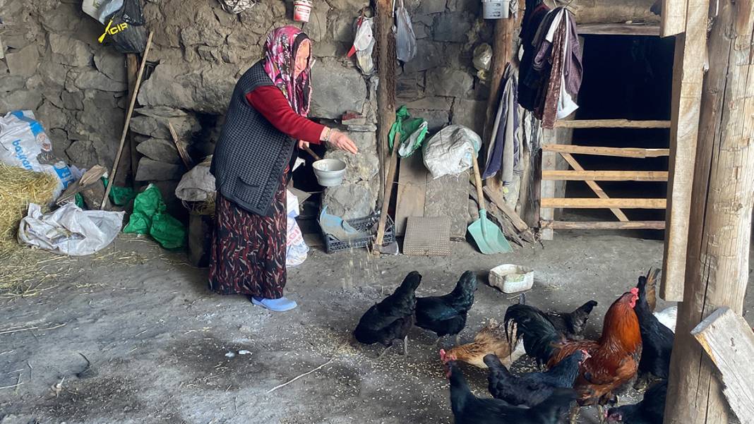 68 yaşındaki üniversite öğrencisi köyden online derslere katılıyor: Hayat bana yılmamayı öğretti 9