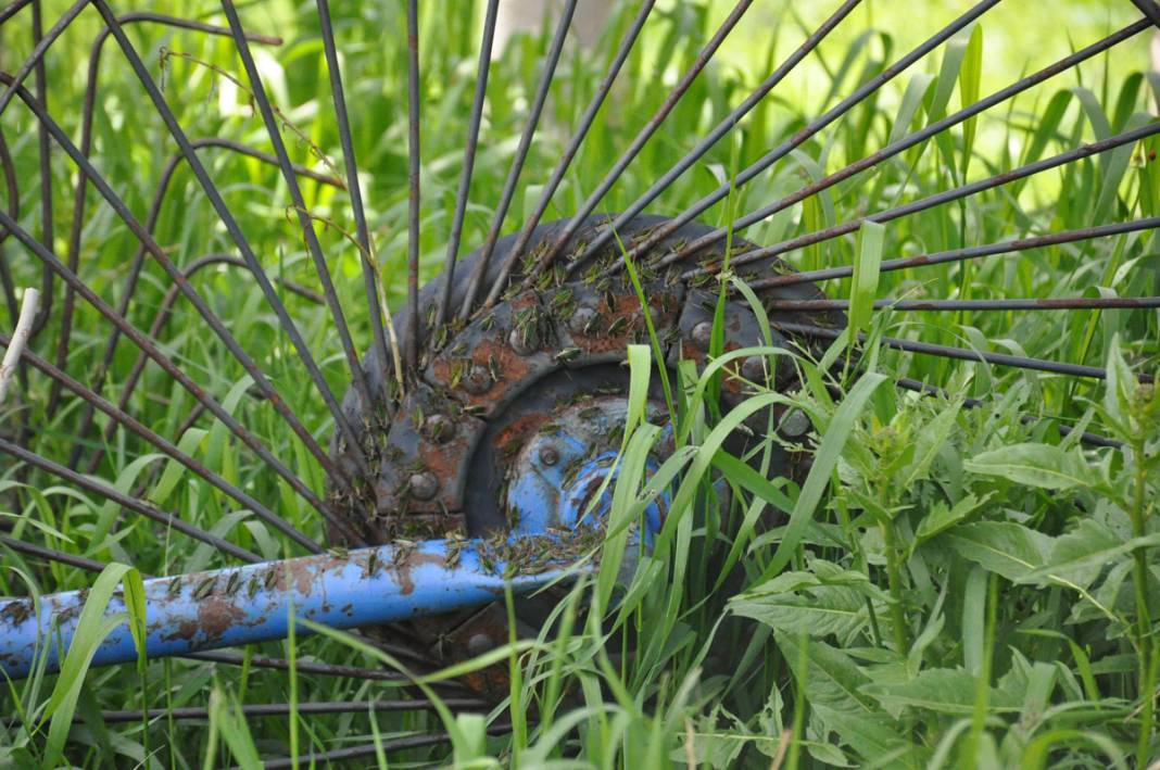 Bu köyde yaşayanlar ne kapı ne de pencere açabiliyor! 5