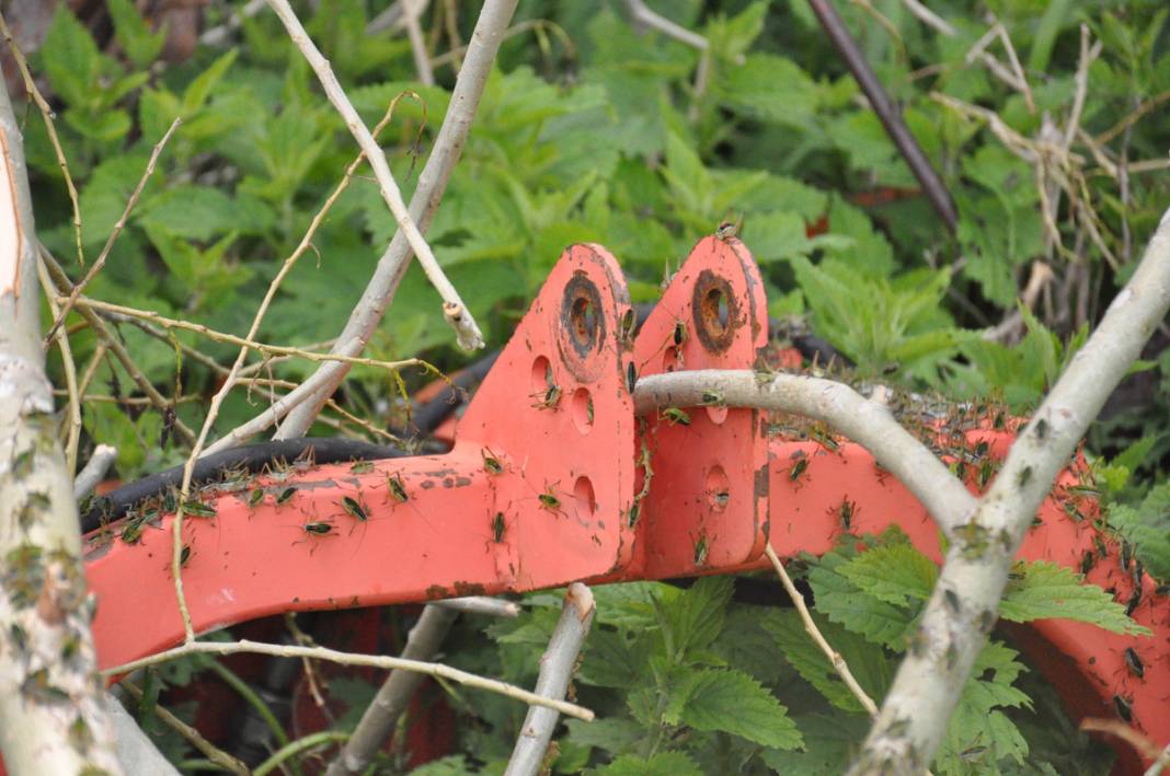 Bu köyde yaşayanlar ne kapı ne de pencere açabiliyor! 3